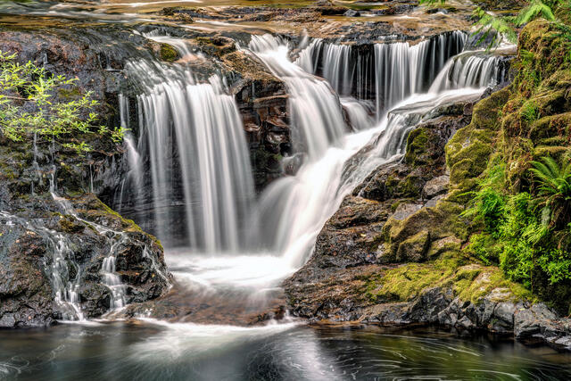 Sweet Creek Cascade
