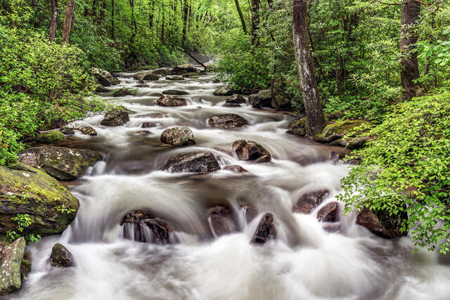 Middle Saluda River