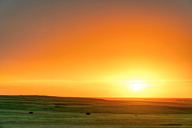 Home on the Range