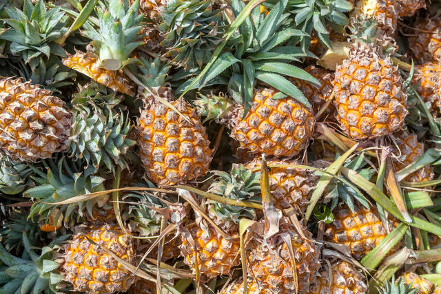Pineapples