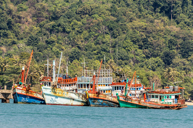 Thai Fishing Boats