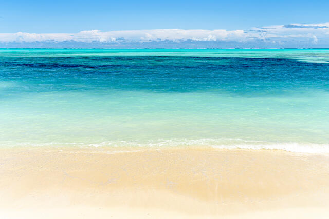 Paradise Found
