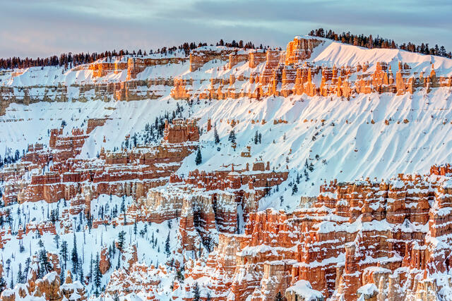 A Cold Morning in Bryce