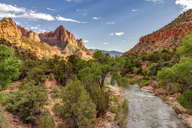 Zion's Famous Bridge View