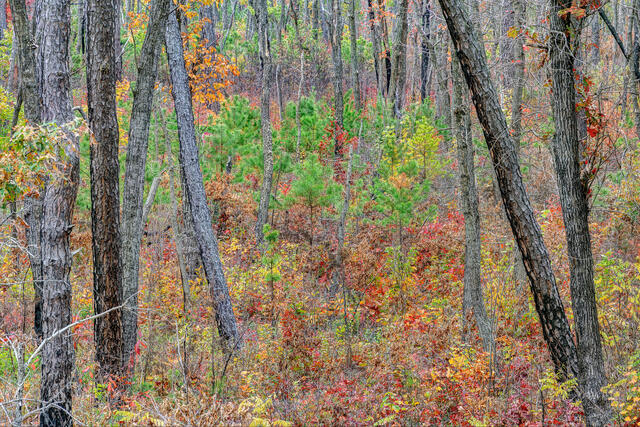 Fall in GWJNF