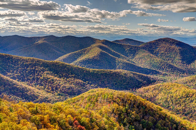 Shenandoah in Autumn