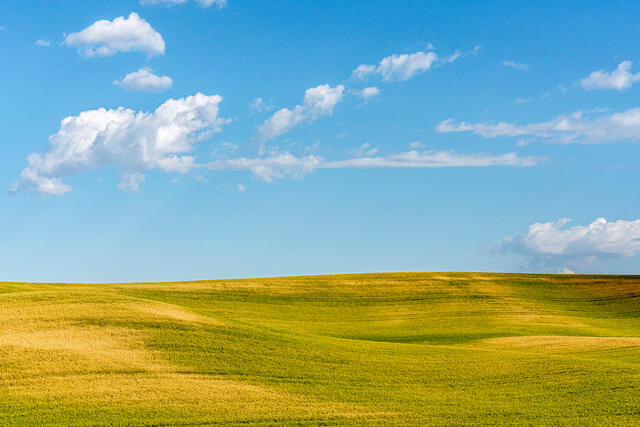 Rolling Farmland