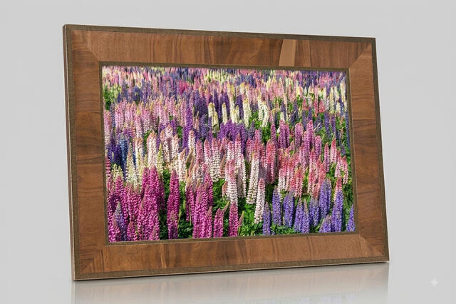 Aluminum print with visible frame