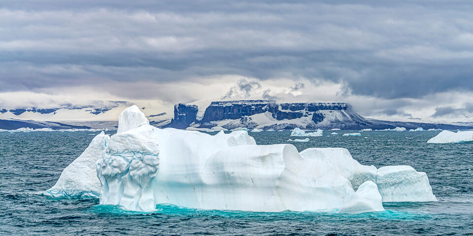 Snow Hill Iceberg Portrait