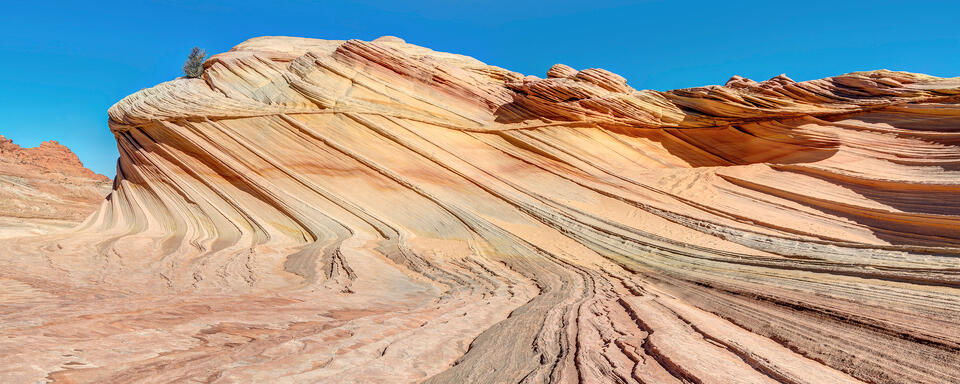 The Second Wave Panorama