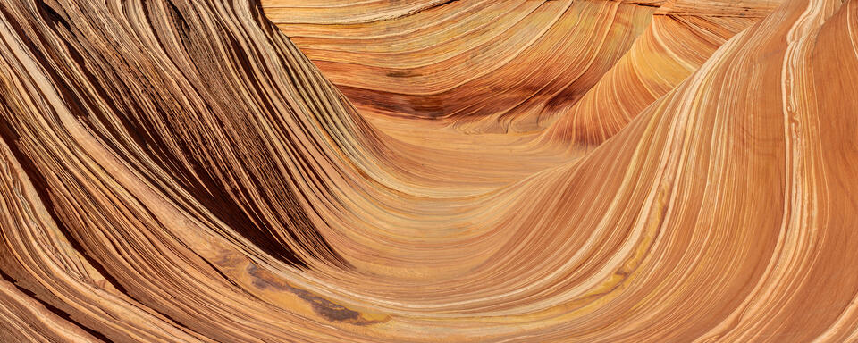 The Wave Panorama