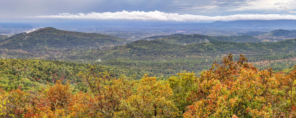 Fall on the Talamena Scenic Drive