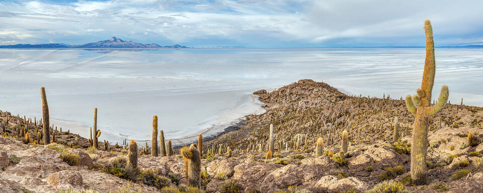 Incahuasi Island