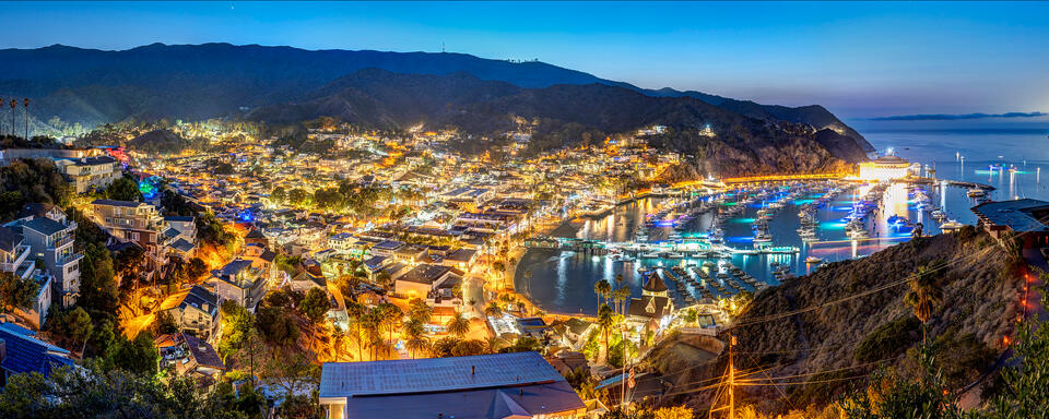 Avalon, 2021