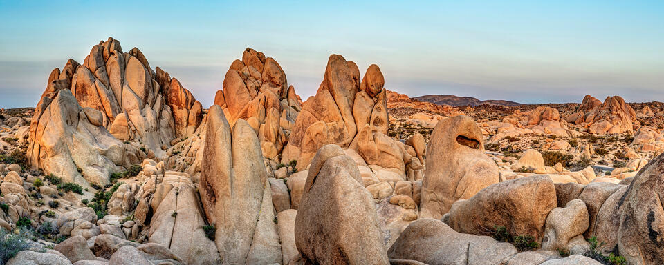 Sunrise at Joshua Tree