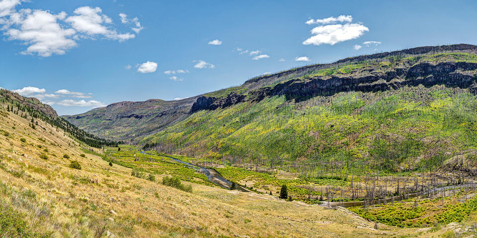 Colorado, America, USA, travel, nature, landscape, panorama, valley, mountain, mountains, river, blue, green, sky, Lake City, Creede, fish, fishing
