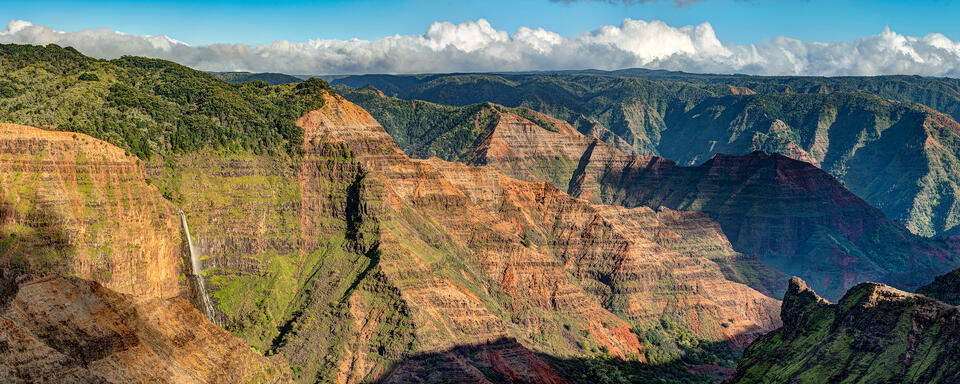 Waimea Panorama