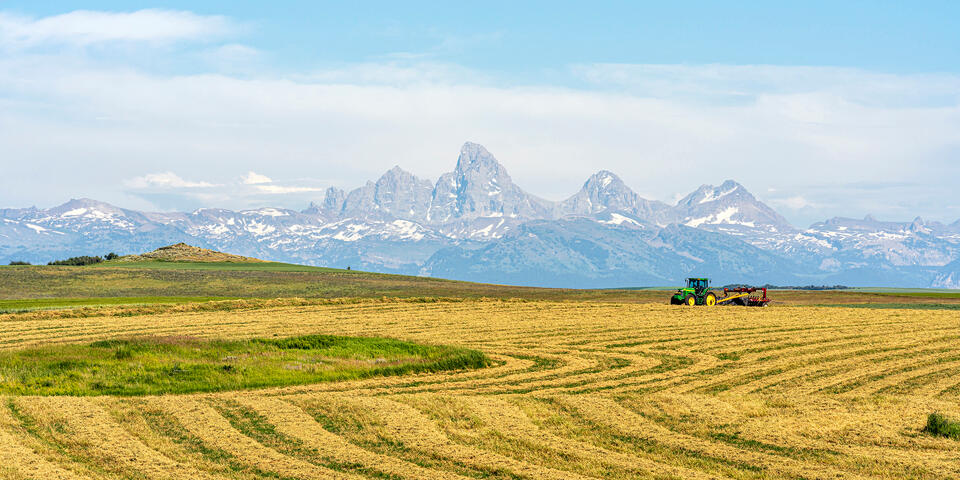 Farmland and Tetons