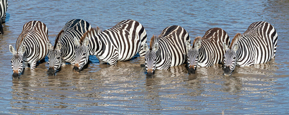 Let's Stop for a Drink