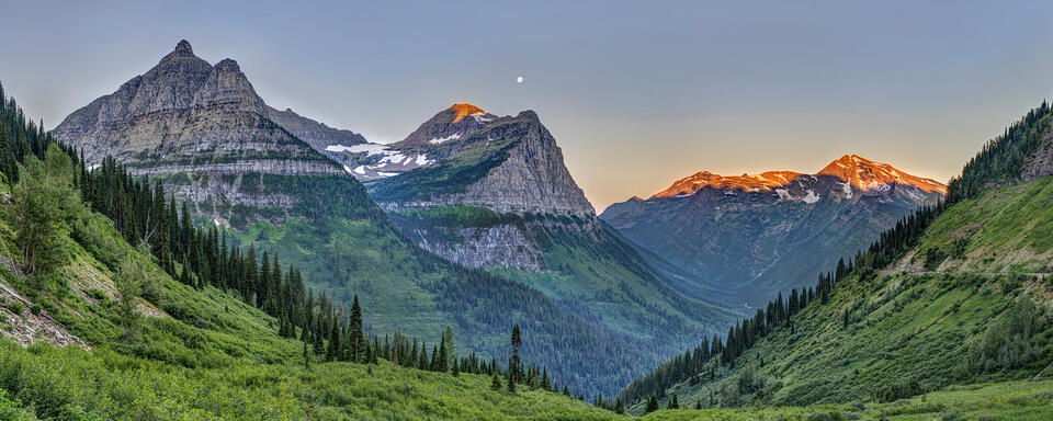 Paradise Meadow Sunrise