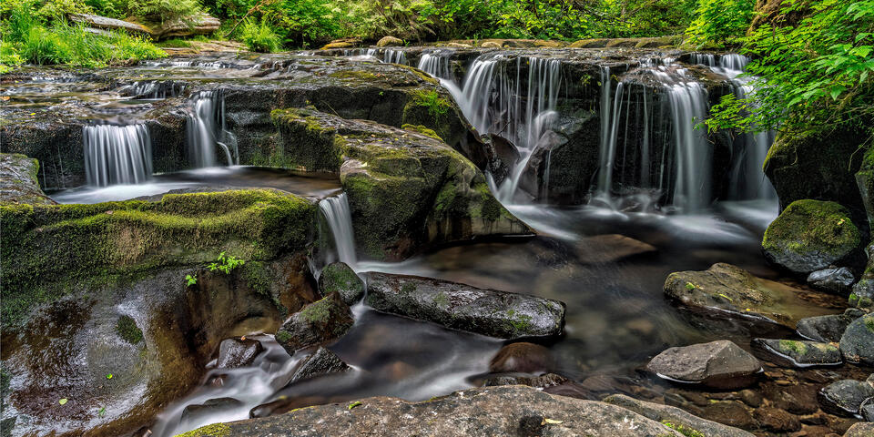 Calming Waters