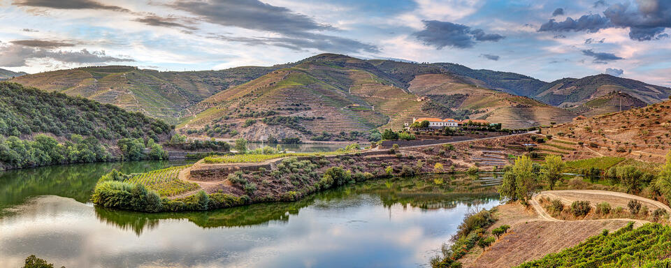 Quinta do Tedo