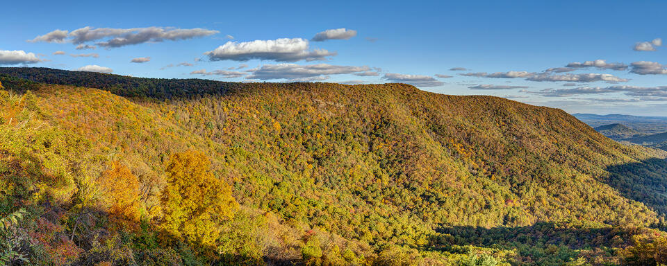 Bacon Hollow in Autumn