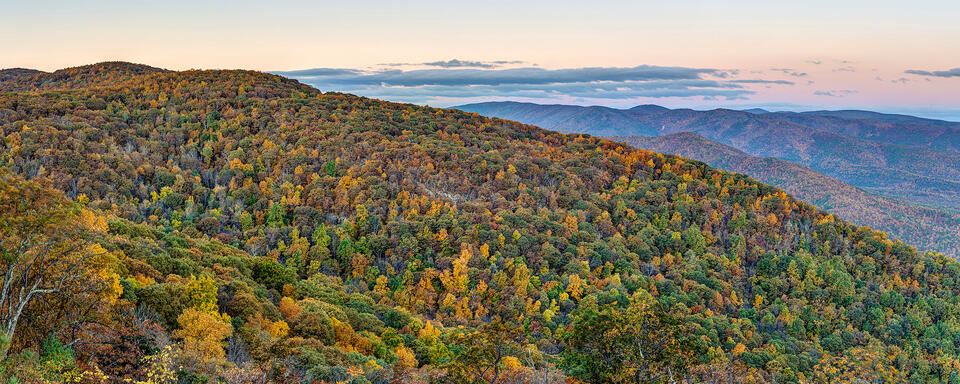 Fall on the Blue Ridge Parkway