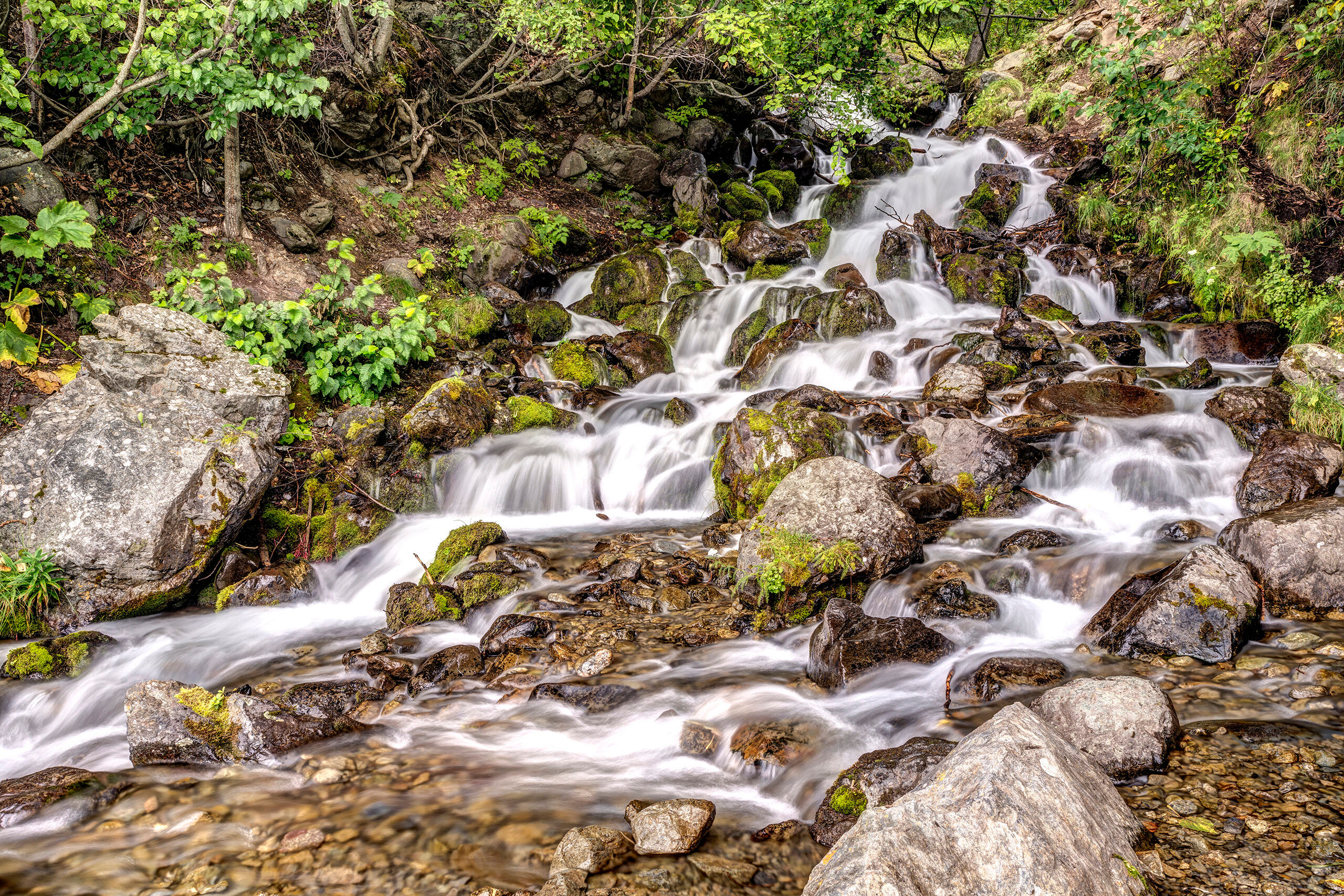 Falls Creek Falls Falls Creek Falls. Is that really the name? Yup. This little cascade is incredibly easy to get to – it lies just off...