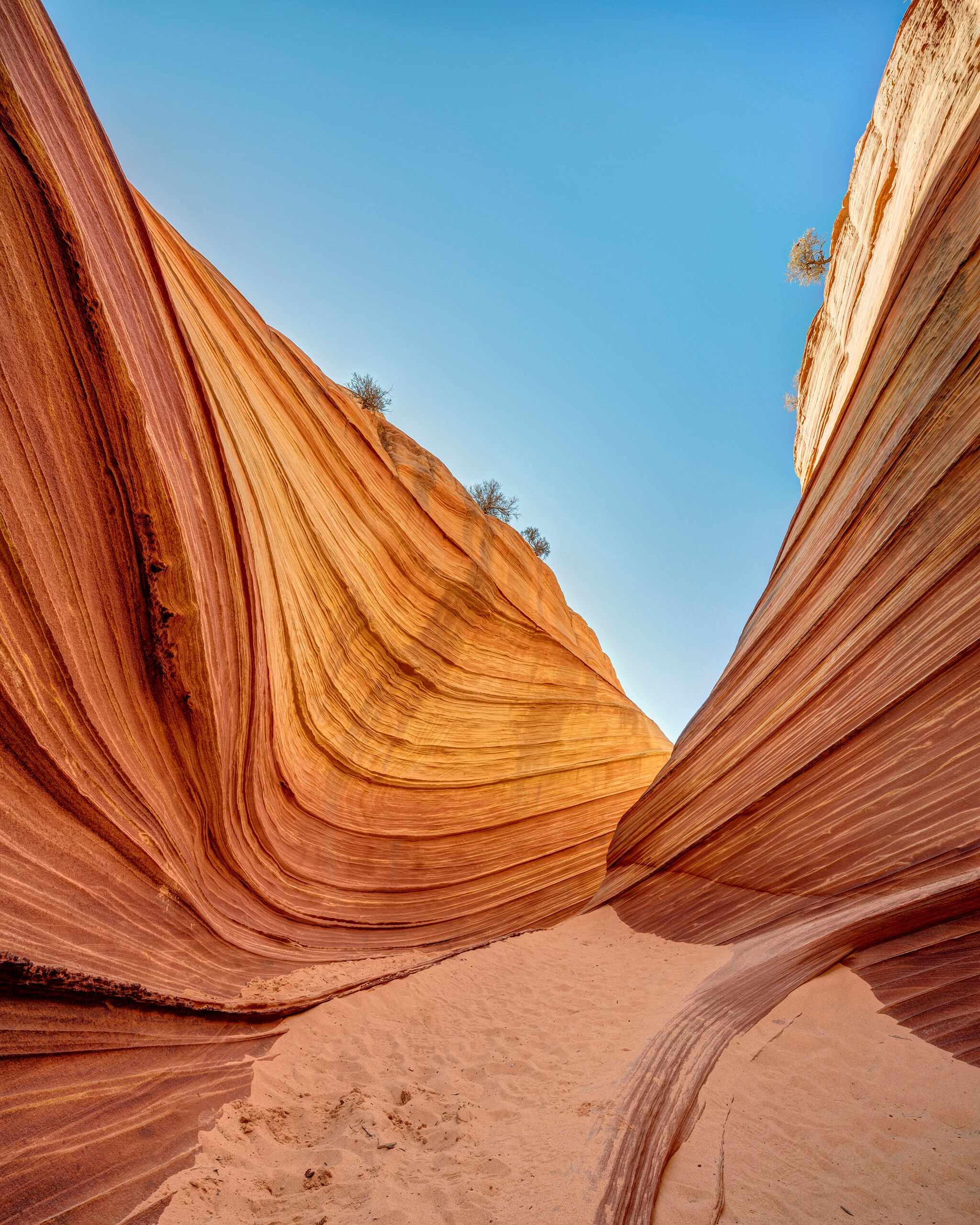 A Surreal Path Portrait “The Wave,” in northern Arizona, was made famous by a Windows XP wallpaper many years ago. It subsequently became...