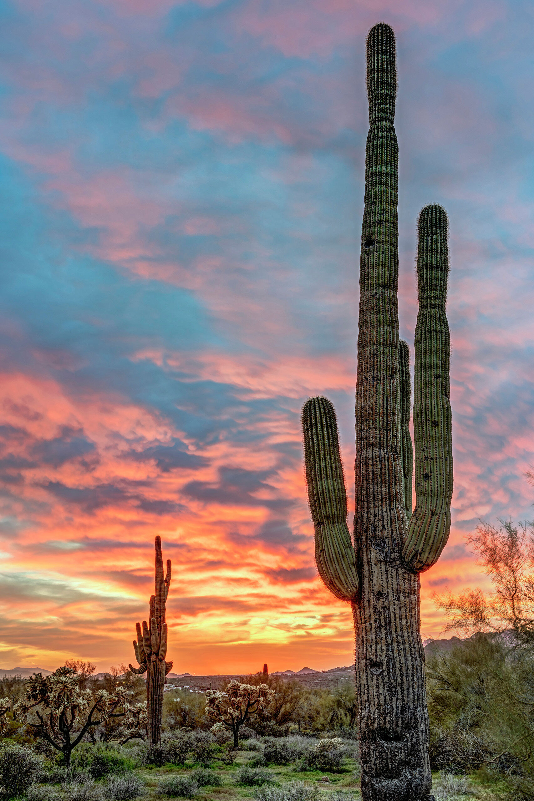 Desert Sunset Spectacular sunsets are almost the norm during the winter in and around the Phoenix area. I didn't set aside time for photography...