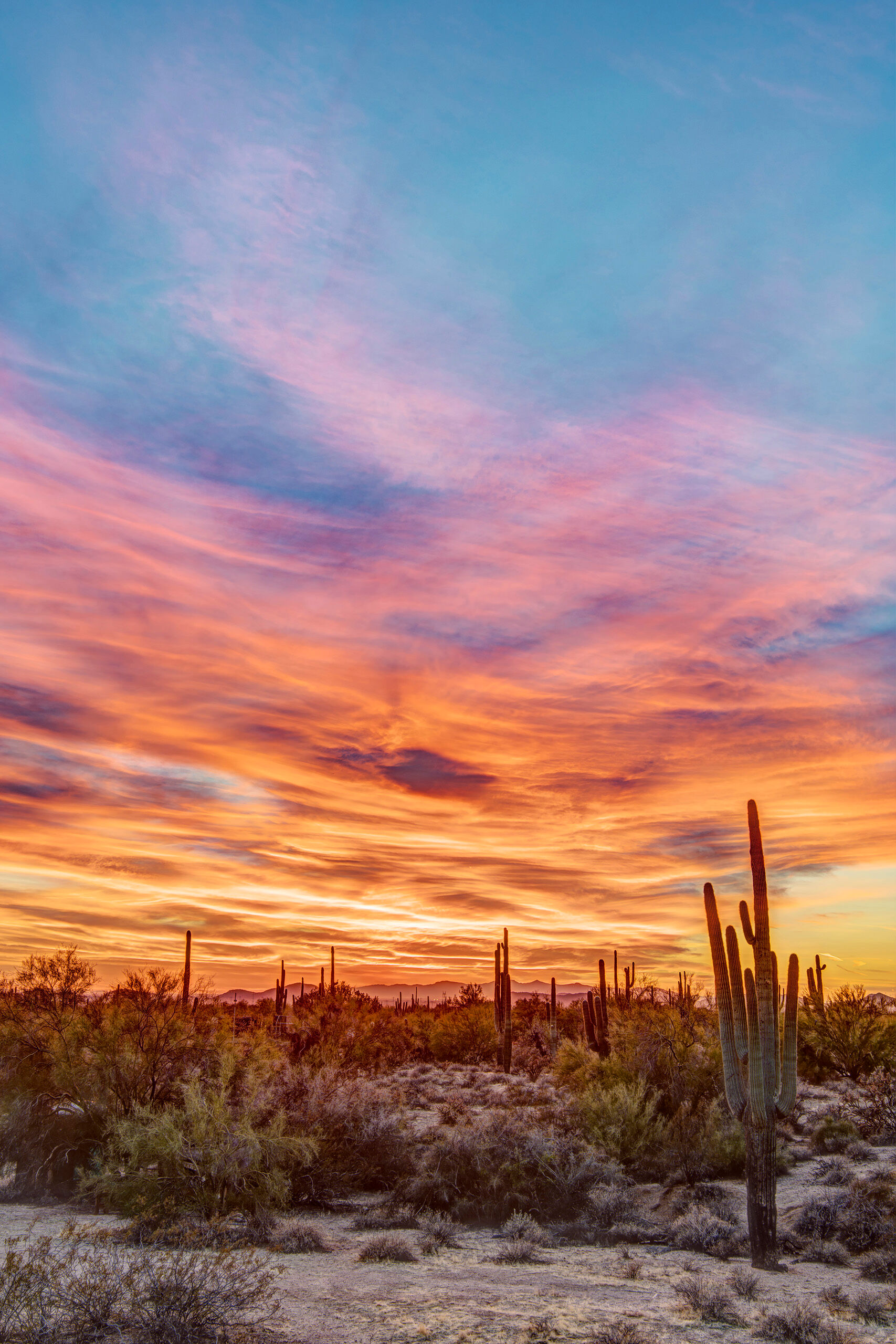 Scottsdale Sunset Phoenix, Arizona, and the surrounding area has some of the most reliably beautiful sunsets of anywhere I've spent a decent amount...