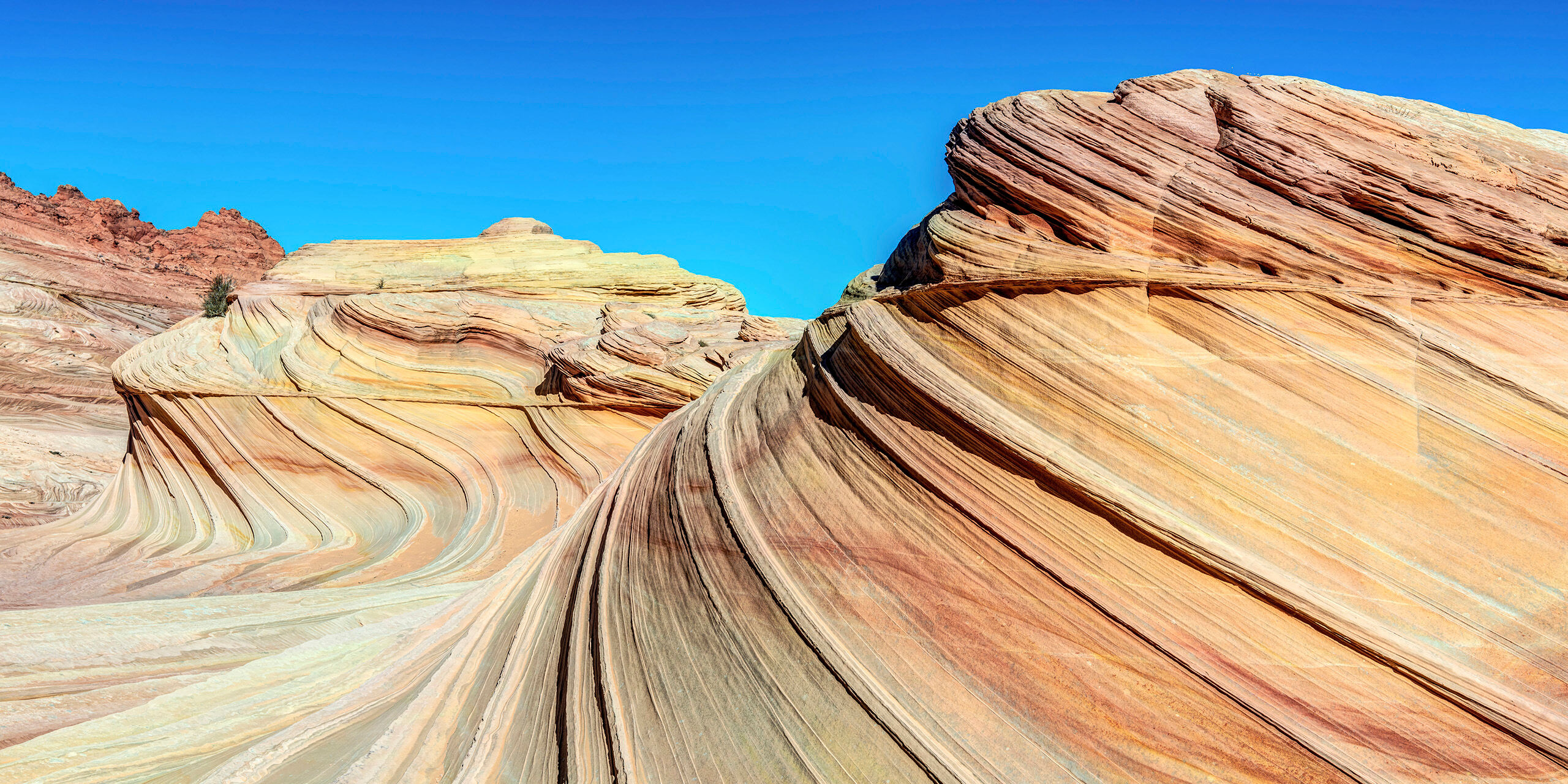 The Second Wave “The Wave,” in northern Arizona, was made famous by a Windows XP wallpaper many years ago. It subsequently became...