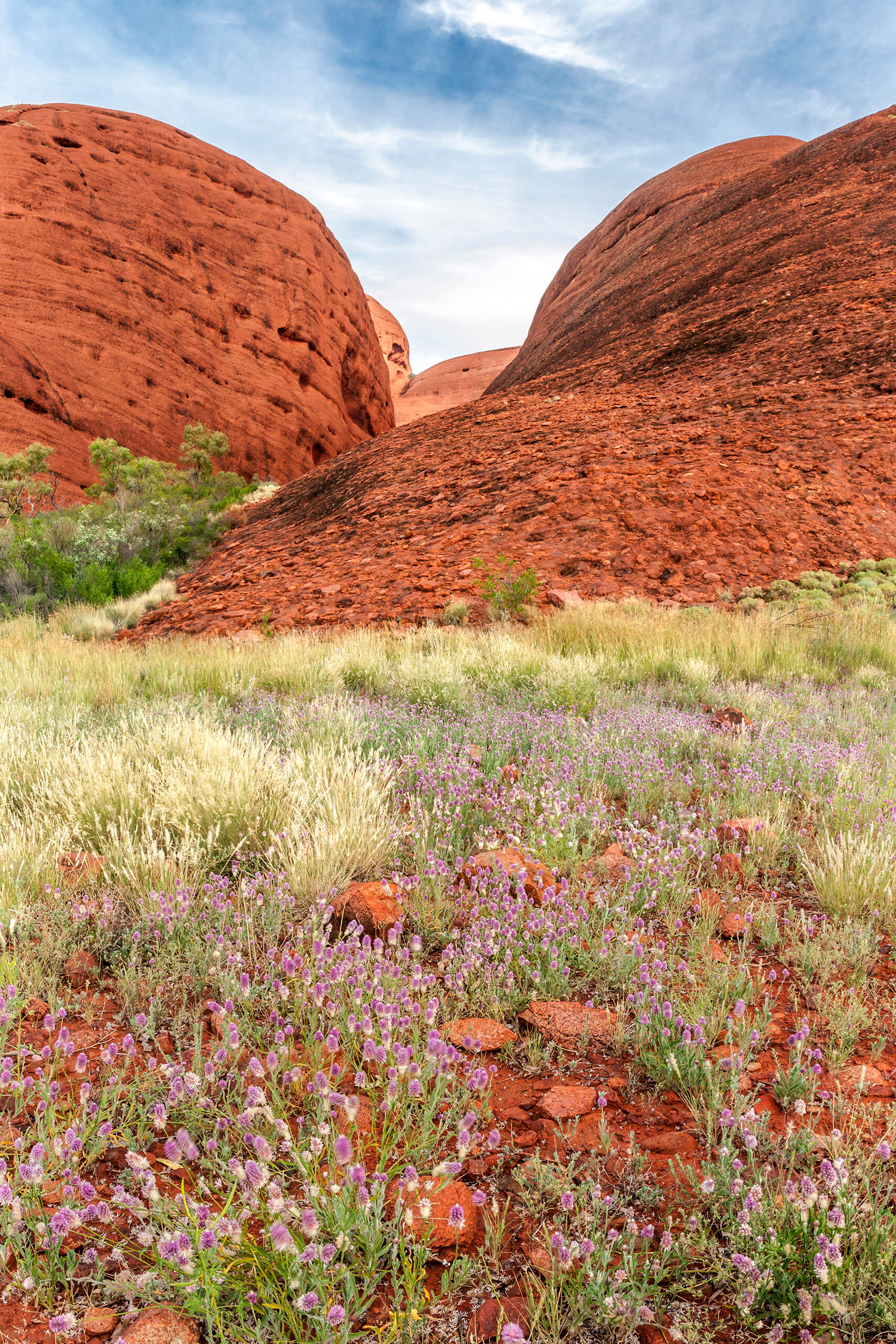 Inside Kata-Tjuta The number of flies that dominated Uluru-Kata Tjuta National Park when I visited in March, 2010, made walking around almost unbearable...