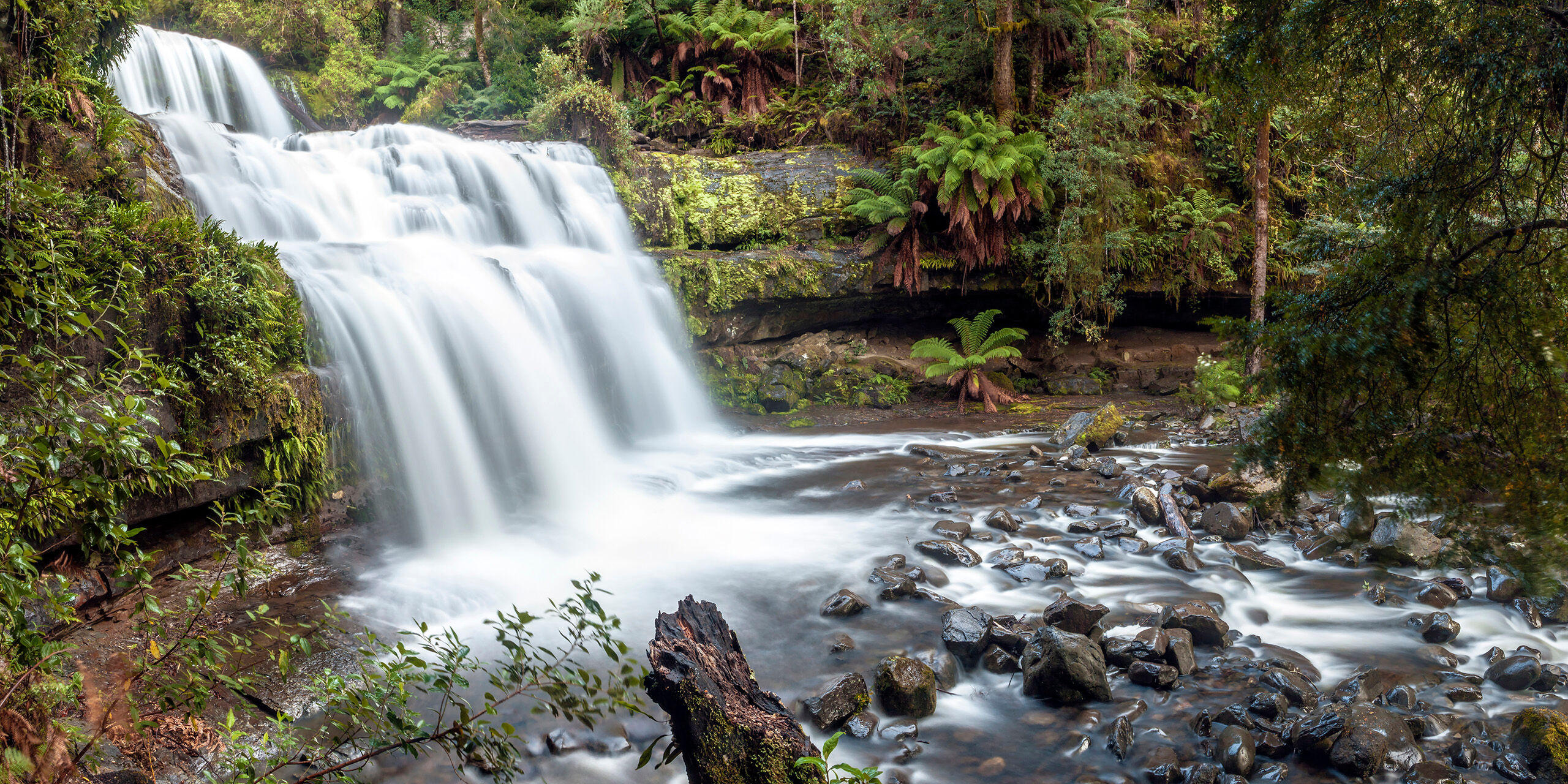 Liffey Falls I arrived in Tasmania without much of a plan for how to spend my first few days. My first stop after getting off the extremely...