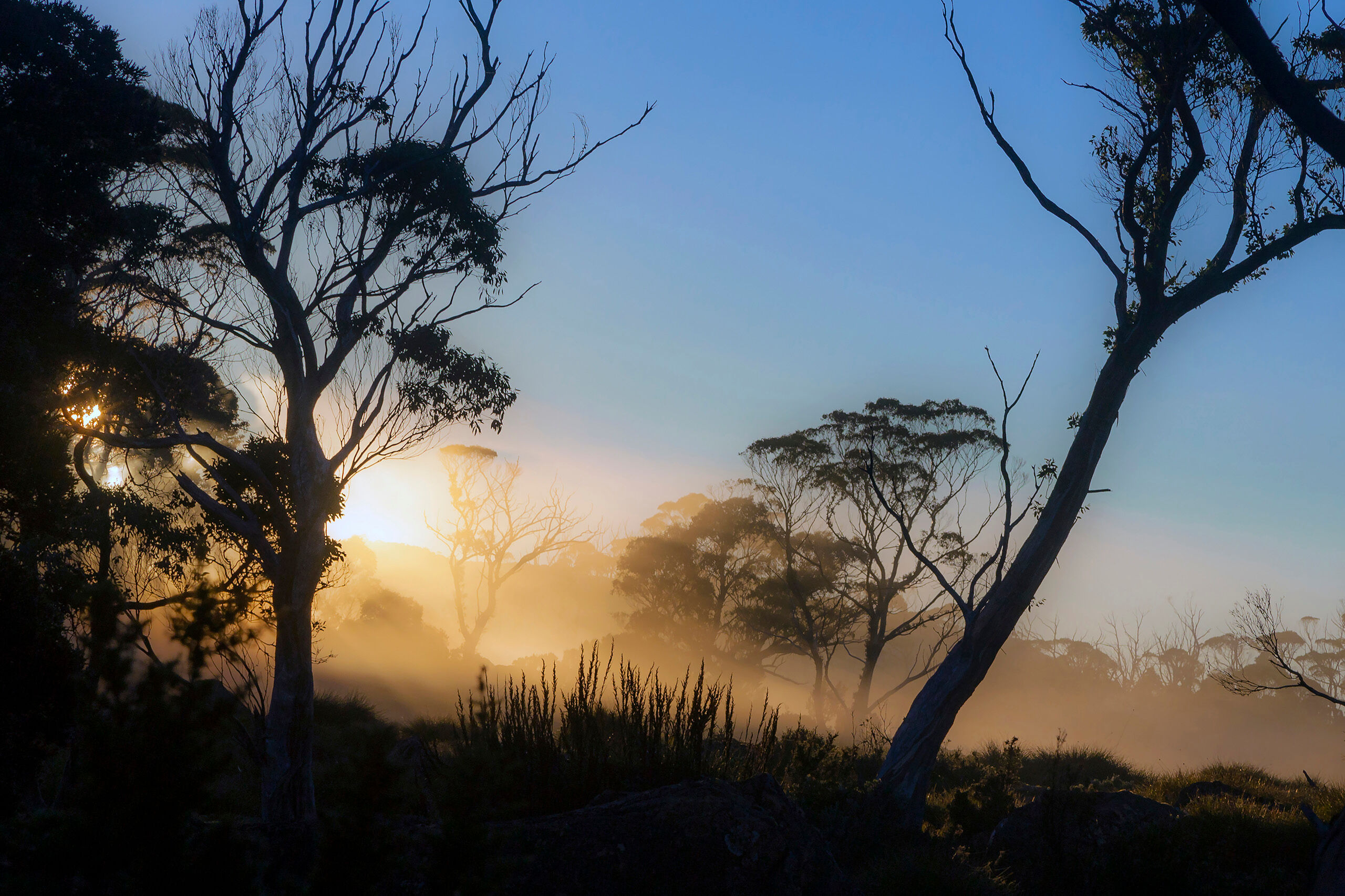 Morning Fog at Lake Windermere I took this photo on the third of seven days I spent on the Overland Track, which travels roughly 40 miles through some of Tasmania...