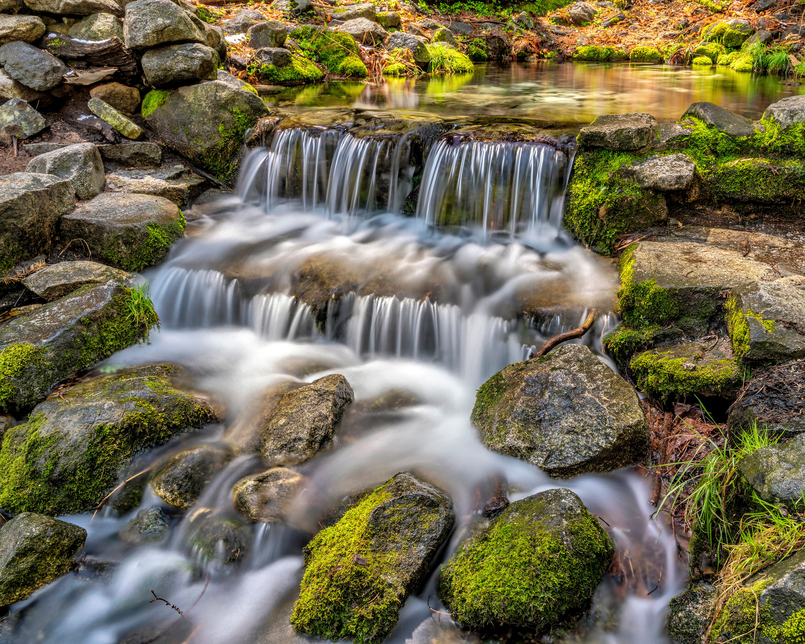 Fern Spring Fern Spring, in Yosemite National Park, is on the side of the road, and is a favorite with local photographers. This bubbling...
