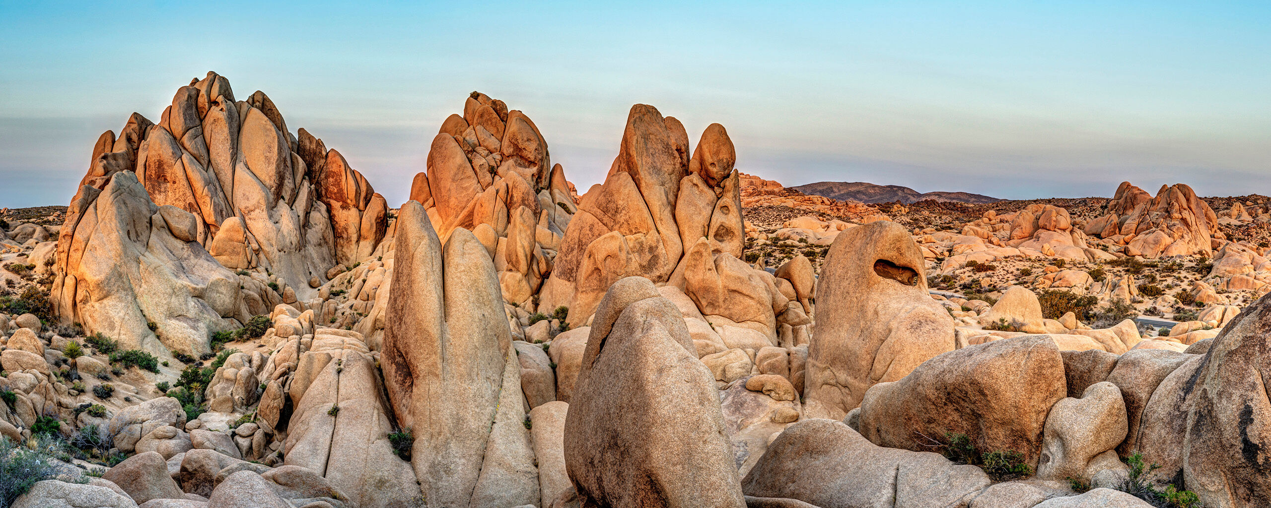 Sunrise at Joshua Tree Joshua Tree National Park, in southern California, gets its name from the yukka-like Joshua trees that abound in the park. My...
