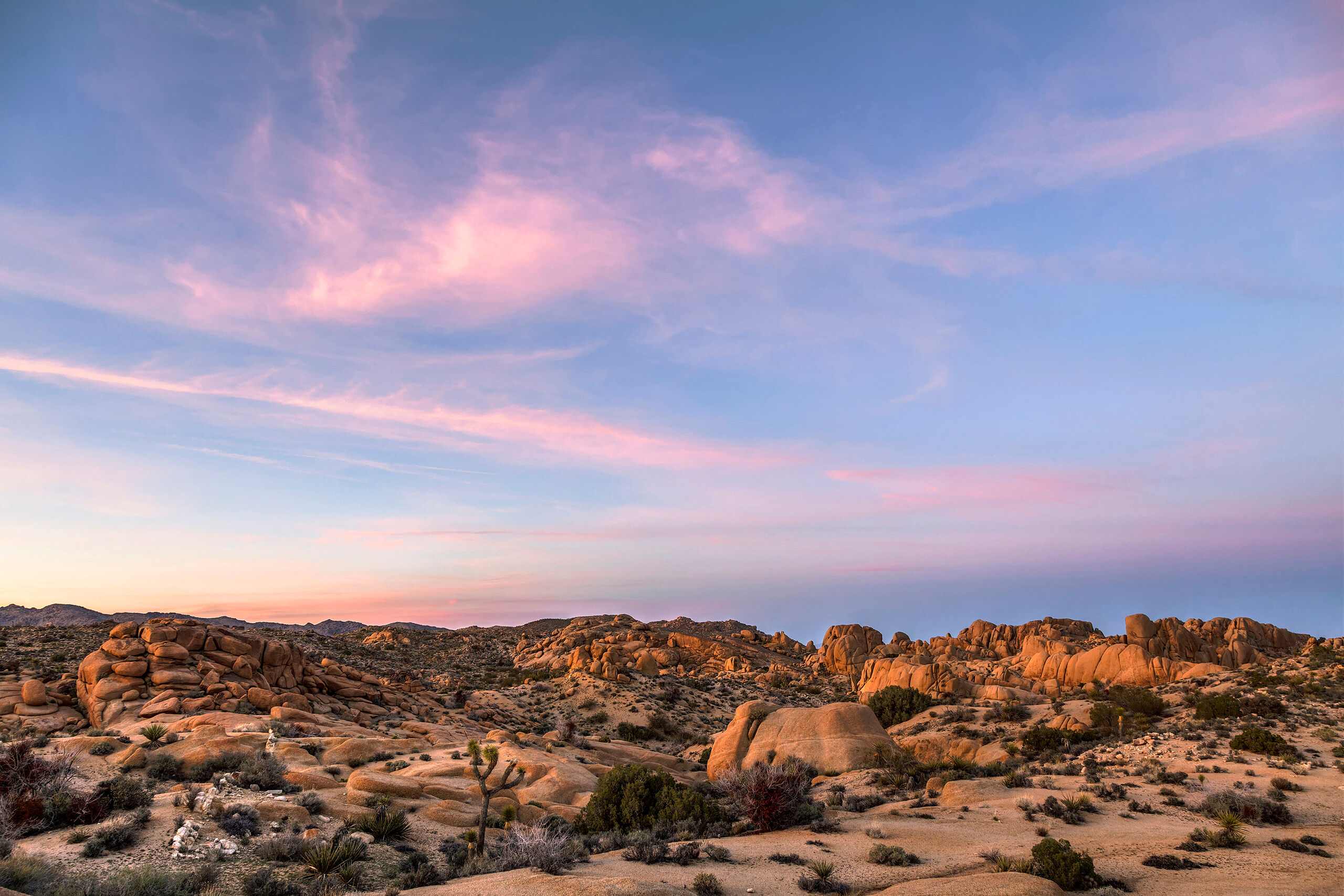 Sunset at Joshua Tree National Park I came to Joshua Tree National Park after spending a few days in Death Valley. The change was welcome. Both Parks are deserts...