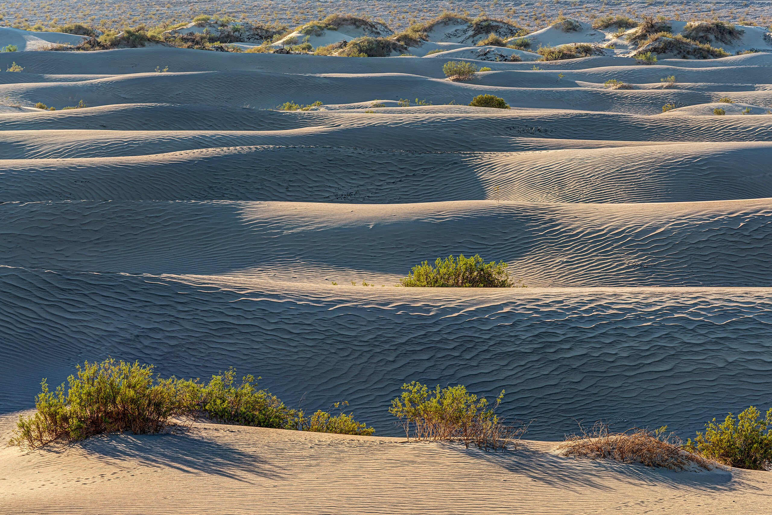 Waves of Sand When driving from a show in California to a show in Arizona during the fall of 2019, I had an extra day, and decided to spend...