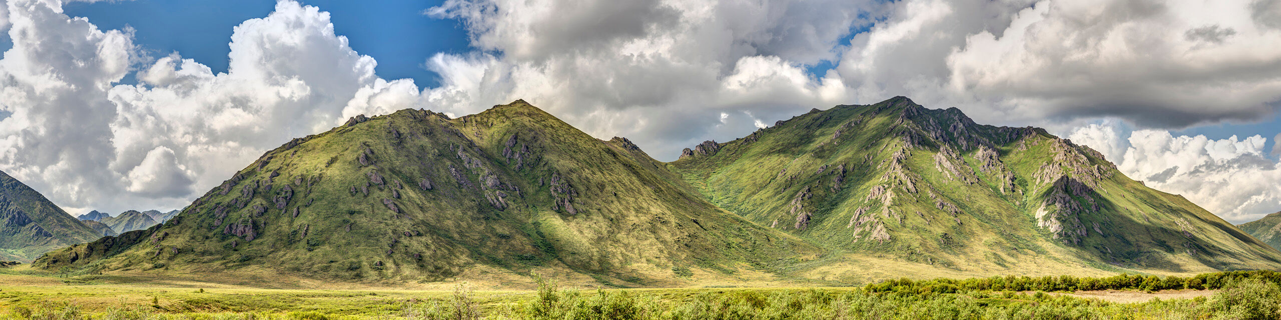 The Far North