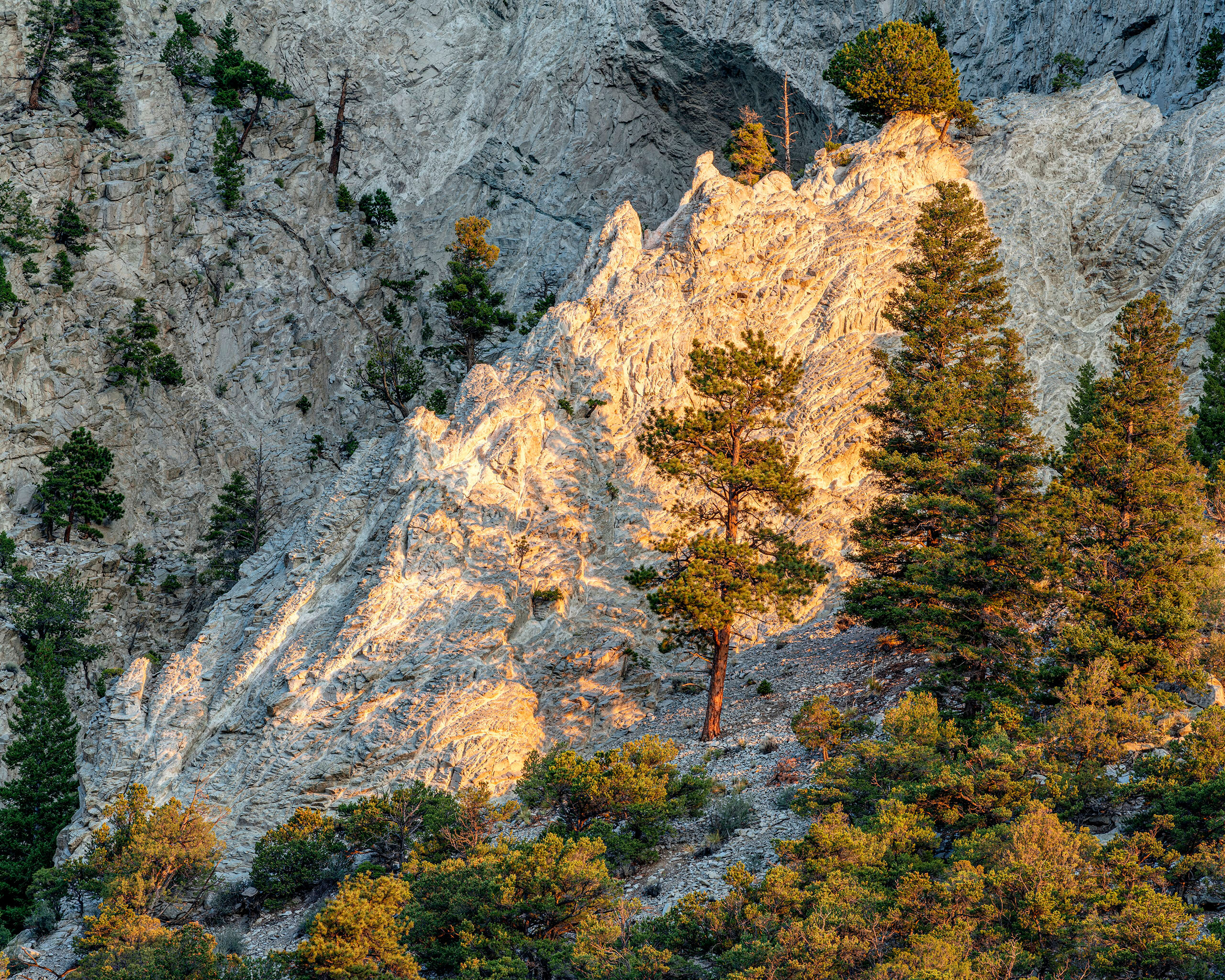 Spotlight I'd never visited the chalk cliffs outside of Buena Vista, Colorado, until a cross-Colorado camping trip I went on in the summer...