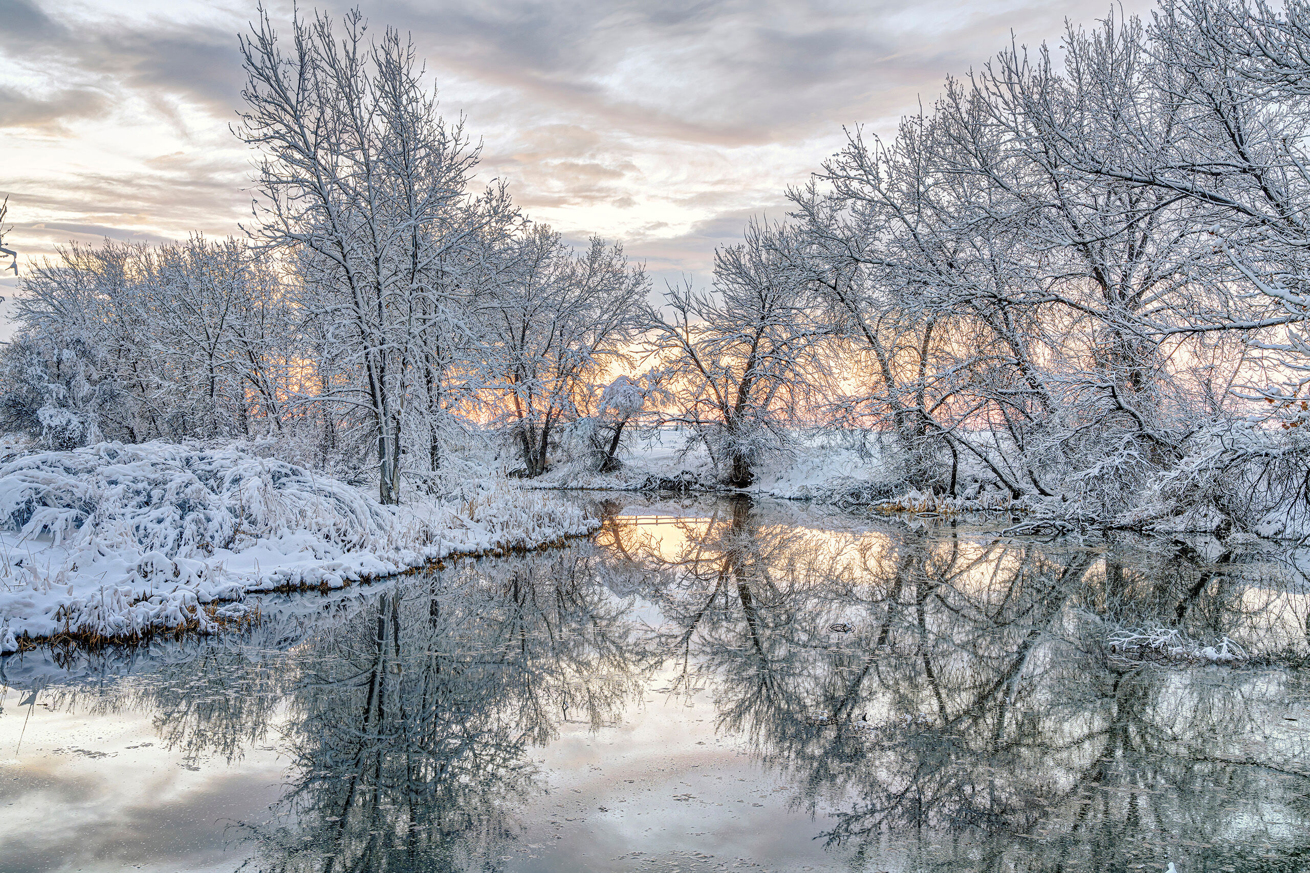 Winter Reflection In the midst of 2020's Coronavirus lockdown, a brief but powerful blizzard blew through northern Colorado, where I live. I don...