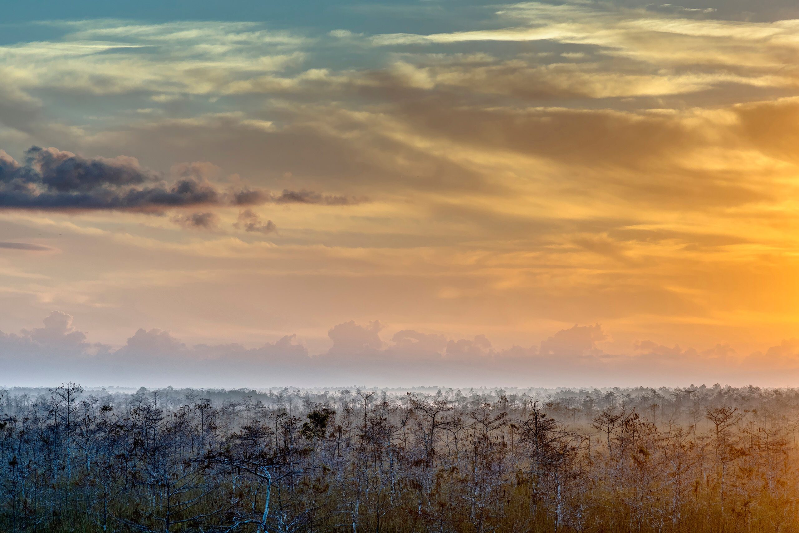 Sunrise in the Everglades 3 I don't typically point my camera towards the sun at either sunrise or sunset. I prefer to have the sun behind me, or coming...
