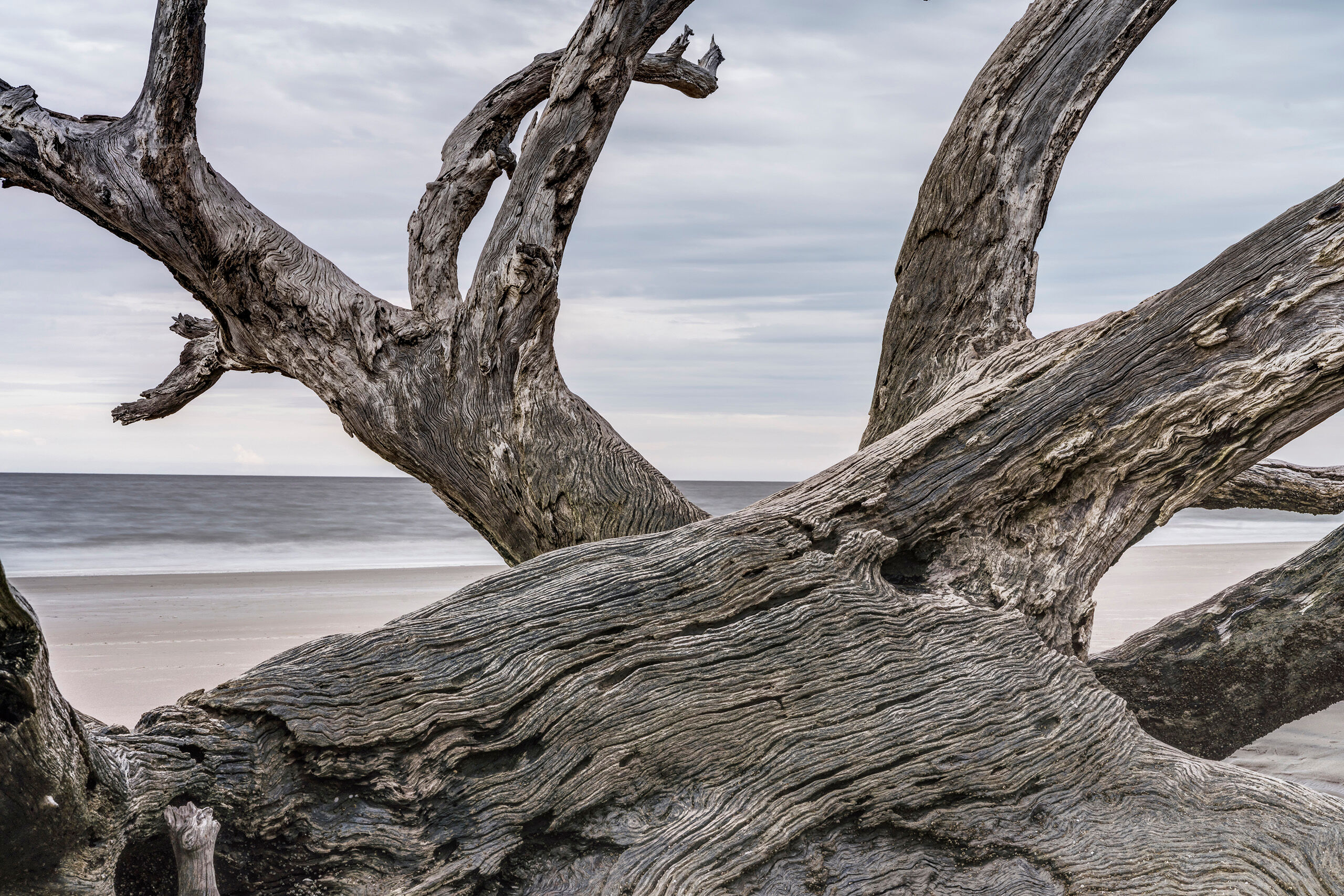 Desaturated Long used seasonally by the indigenous people of the area, Jekyll Island, which occupies less than ten square miles of land off...