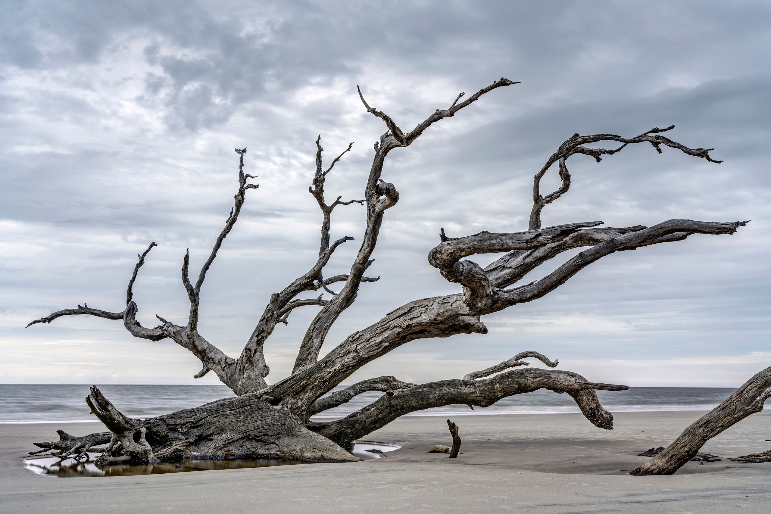 Driftwood Beach Long used seasonally by the indigenous people of the area, Jekyll Island, which occupies less than ten square miles of land off...