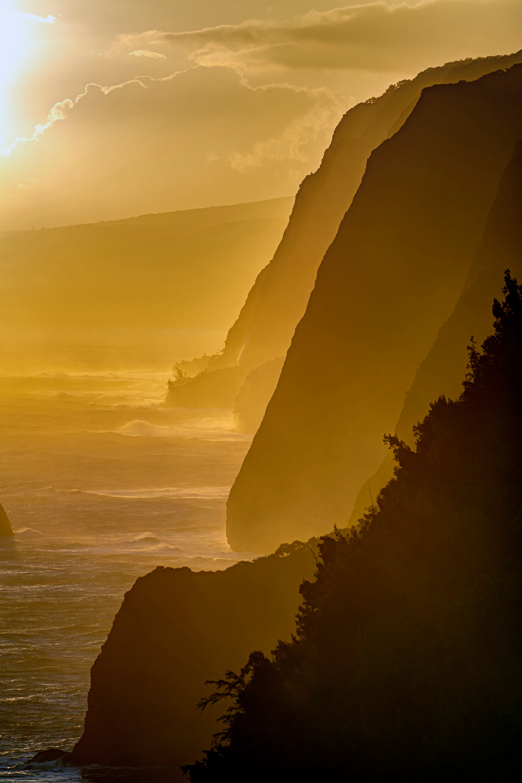 Pololu Valley Portrait The Pololu Valley Lookout, on the northern end of the Big Island of Hawai'i, is a beautiful and popular spot for photography....