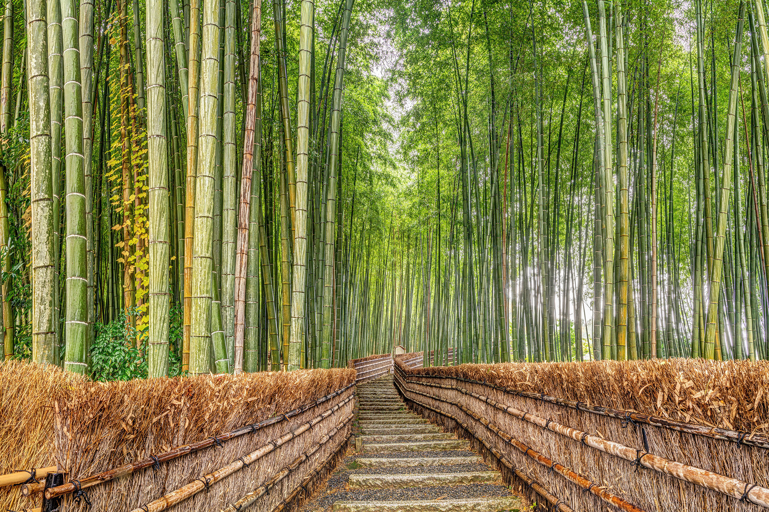 Adashino In the northwest portion of Kyoto, there is a Buddhist temple called Adashino Nenbutsu-ji, well-known for the plethora (roughly...