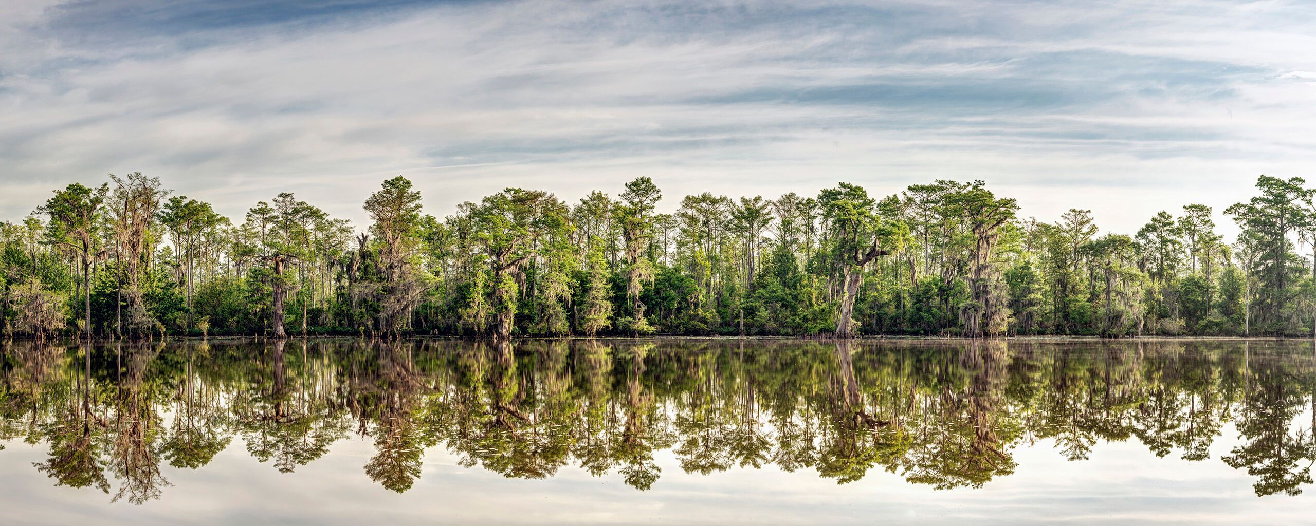 Swamp Reflection I stopped for the night at Fairview-Riverside State Park, north of New Orleans, Louisiana, while en route to an art show in Florida...