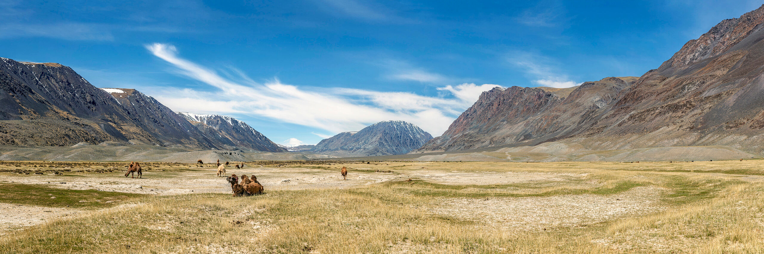 Camelrama Most of my time in Mongolia, during my 2015 visit, was spent in the far west, near the three-way border with Russia and China...